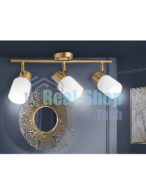 Настенно-потолочный спот TR3972/3 BS/FR латунь/белый матовый E27*3 max 40W 460*80*140